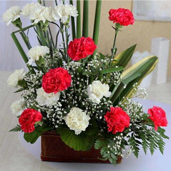 16 Mixed Carnation One Sided Basket Arrangement